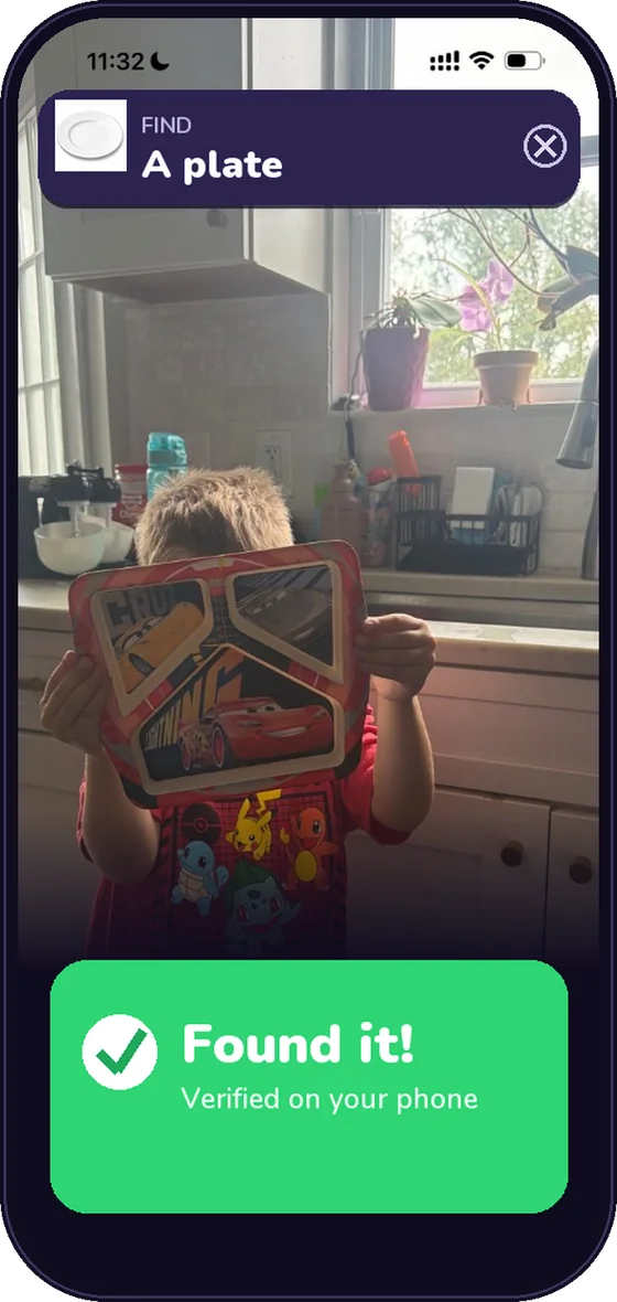 SnapDash verifying a plate